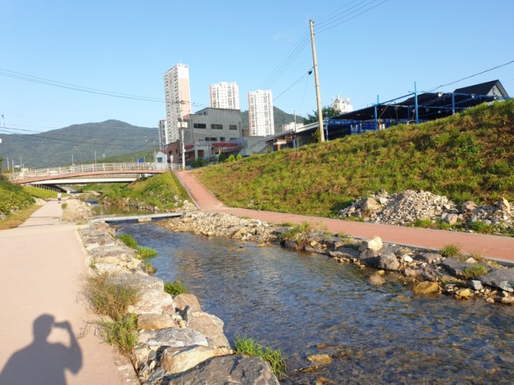  산책간 생각 정리