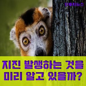  지진을 예견한 동물들?