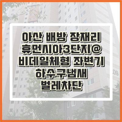  아산하수구냄새 화장실 좌변기악취 하수구트랩으로 막아요.