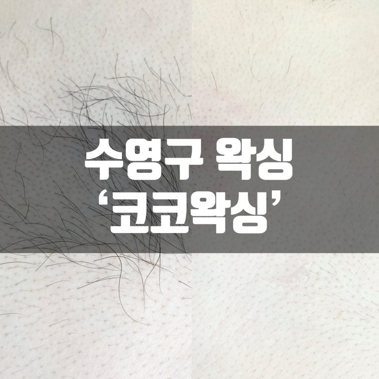  수영구 왁싱 코코왁싱 남성 전용 왁싱샵 브라질리언 왁싱 후기