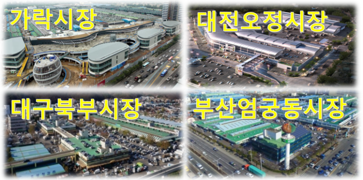  경매사가 일할 수있는 도매시장은 뭐가 있어?