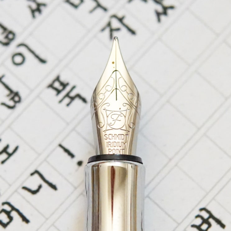 잘못했읍니다 (LIY Liwu Sangran F nib)