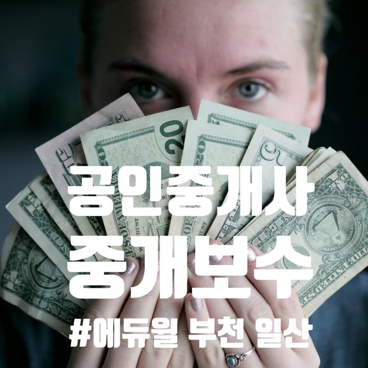  [행신동,백석동,마두동,파평면,군내면,금촌동,상동,계양]공인중개사 부동산 중개보수가 궁금해요!