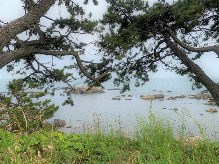  부산 당일치기 코스 부산역부터 기장까지