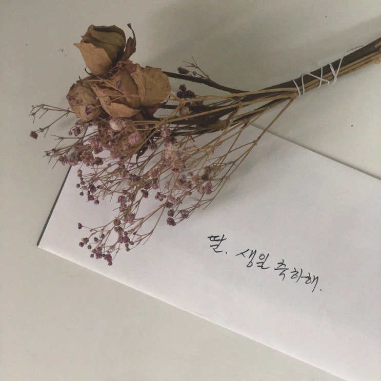  블로그씨 샐리의 법칙, 내 생일날에