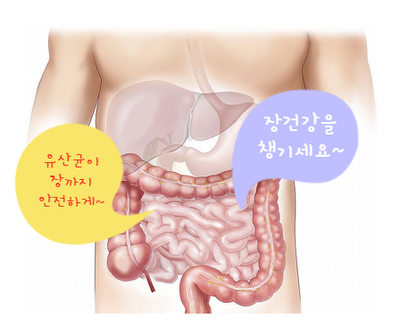 김수현의 자일로바이오틱스 듀얼로 장건강을 챙기세요!