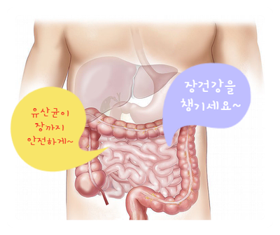 김수현의 자일로바이오틱스 듀얼로 장건강을 챙기세요!