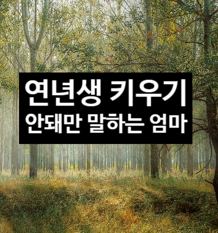  연년생 키우기와 안돼만 말하는 엄마