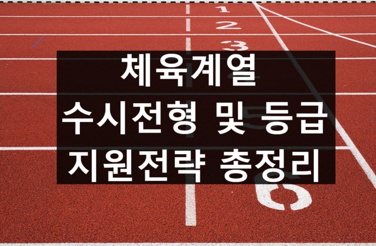  체대 수시 전형 및 등급, 지원전략 총정리