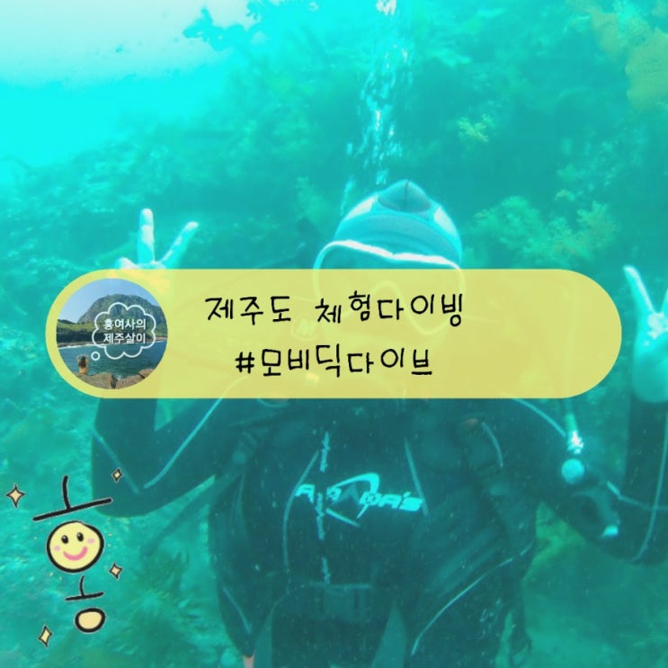 「제주」 서귀포 모비딕다이브에서 첫 체험다이빙(스킨스쿠버) 「제주」 서귀포 모비딕다이브에서 첫 체험다이빙(스킨스쿠버)