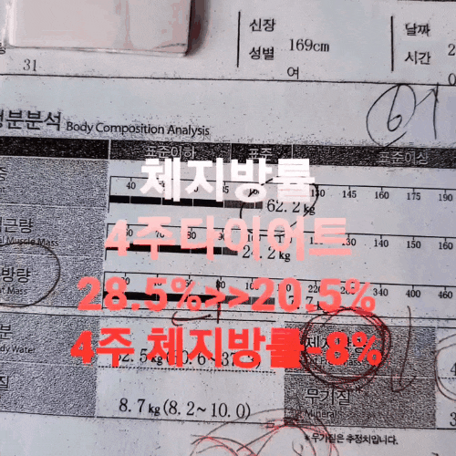  근육은 늘리고 체지방만 태울수 있을까 ?