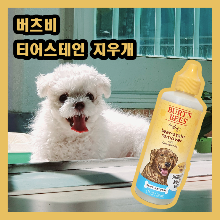  강아지 눈물자국 버츠비 티어스테인 리무버로 해결! / 강아지 고양이 천연 눈물지우개 추천