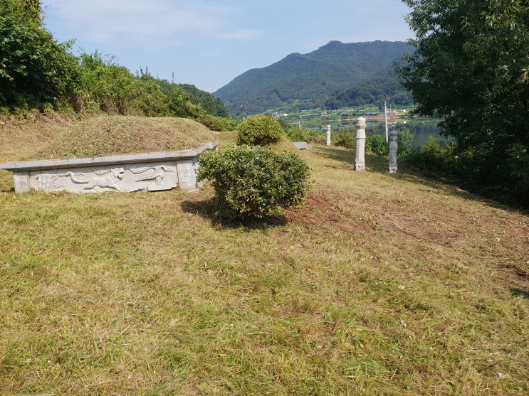  ｀구미시 선산읍 산소 벌초대행 。구미 보림 조경