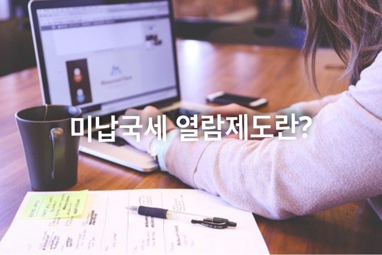  미납국세 열람제도란?