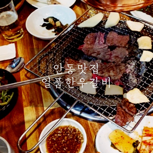  안동갈비 안동역맛집 일품한우갈비