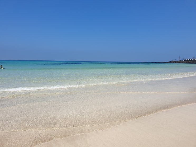 서퍼의 천국 월정리해변, 제주도 빨간풍차펜션에서 바비큐까지