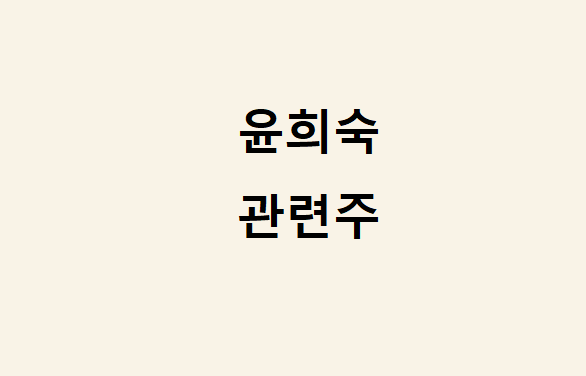 윤희숙 관련주 윤희숙 관련주