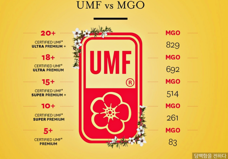 신이 내린 선물 뉴질랜드 마누카꿀 효능 및 먹는법 똑똑하게 고르는 방법 Mgo Umf 10 15 : 네이버 블로그
