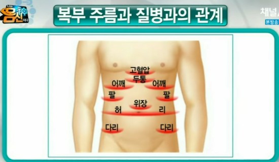 우리 몸의 건강 지도 :복부