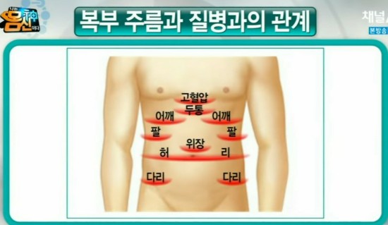 우리 몸의 건강 지도 :복부