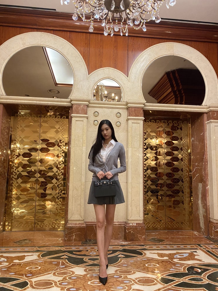  프레피룩