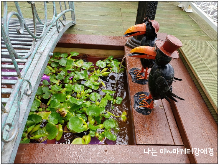  제주도 감성 소품샵 어바웃 제주에서 득템~