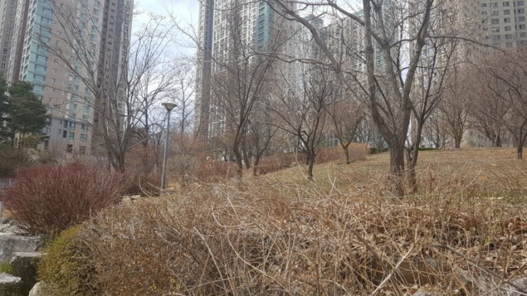 영끌해서 집샀는데 맘대로 못 들어간다니ᆢ 영끌해서 집샀는데 맘대로 못 들어간다니ᆢ