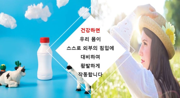  면역력 증강에 필요한 효과적인 음식 Top5/면역력 높이기