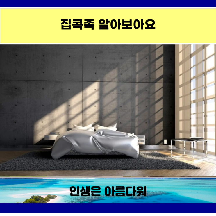  집콕족 알아보아요