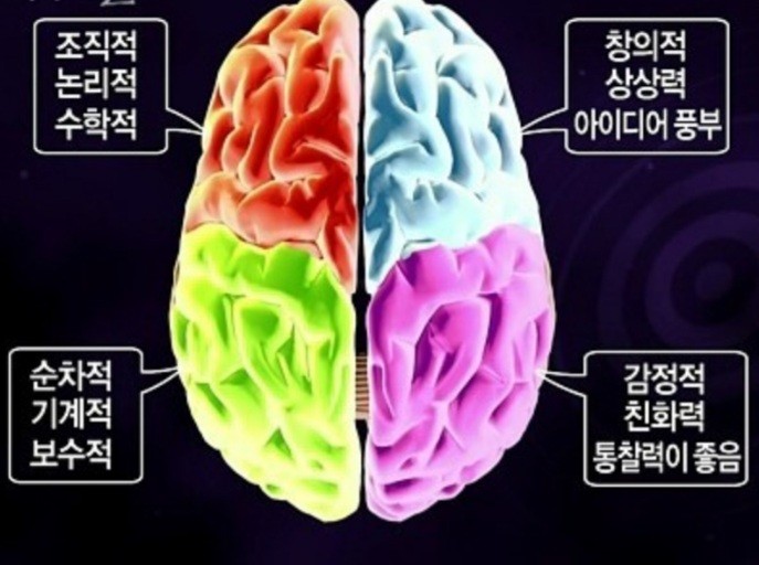 뇌과학의 실험에 따르면 좌뇌와 우뇌를 우리가 분류하는 것 만큼 실제적으로 큰 의미는 없다고 합니다.