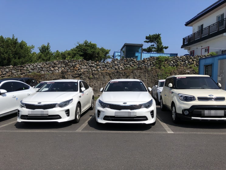  제주도 K5 완전자차 렌트카 이용후기(가격 저렴한 곳) / 첫날부터 신나게 먹으러 다님!