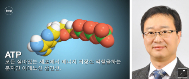  국내 연구진 암세포의 에너지원 세계최초규명