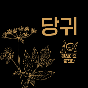 공진단 효능. 당귀의 효능과 부작용 주의사항. 괜찮아요 공진단. 괜찮아요 한의원. 공진단 효능. 당귀의 효능과 부작용 주의사항. 괜찮아요 공진단. 괜찮아요 한의원.