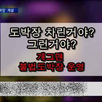 도박장 차린거야? 그런거야? 개그맨 불법도박장 운영 도박장 차린거야? 그런거야? 개그맨 불법도박장 운영