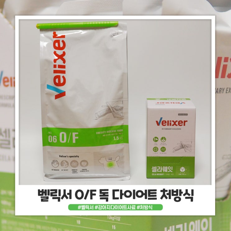 벨릭서 O/F독 뚱띠 방이를 위해 준비했어요 벨릭서 O/F독 뚱띠 방이를 위해 준비했어요