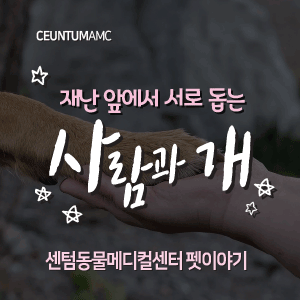 [동물뉴스]재난 앞에서 서로 돕는 사람과 개