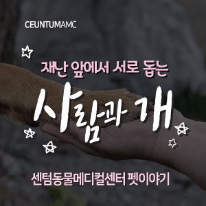  [동물뉴스]재난 앞에서 서로 돕는 사람과 개