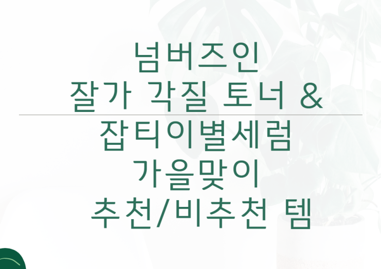  넘버즈인(numbuz:n) 잡티 & 각질관리 후기(내돈내산)_ 가격 & 효과 (2개월 사용!)