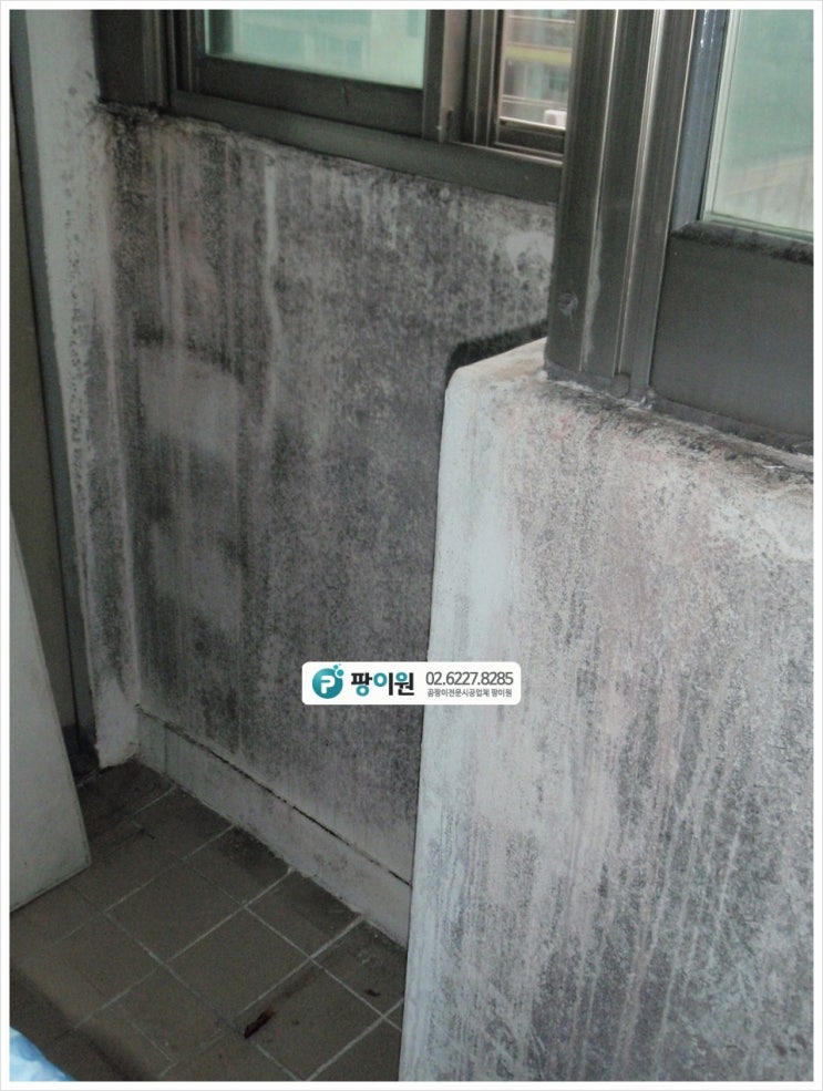  곰팡이 업체 가격은 얼마일까?