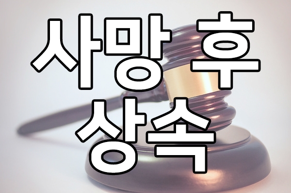  사망 후 상속절차 : 사망신고와 재산 조회 하기