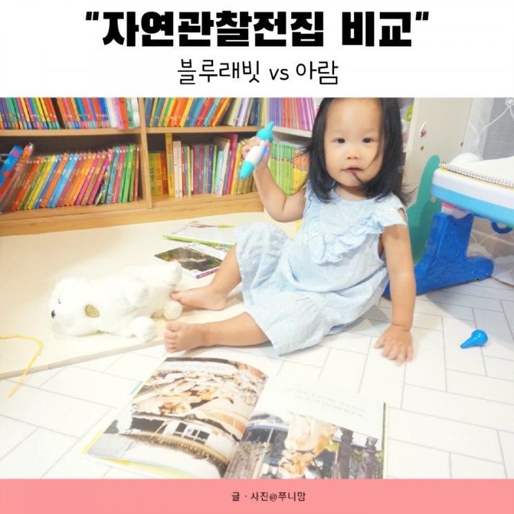  블루래빗 vs 아람 자연관찰전집 비교, 어떤 책이 우리 아기에게 더 맞을까?