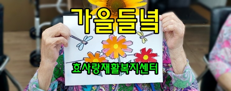  동탄 화성 병점 주간보호 센터/방문요양/효사랑재활복지센터/가을 들녘 코스모스의 추억