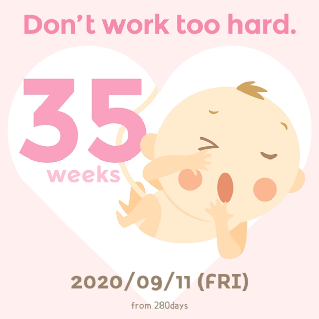  35주 임신기록c
