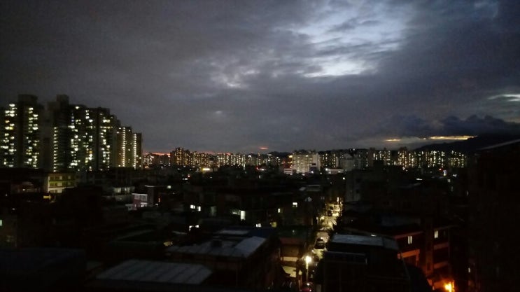 우리집 루푸탑(여유 찾기!)