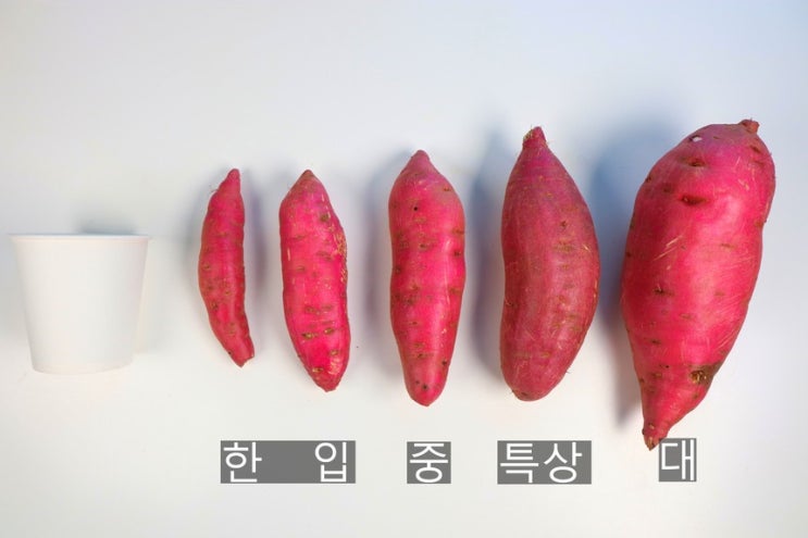  고구마 어디서 구매해야할지 고민이시죠?
