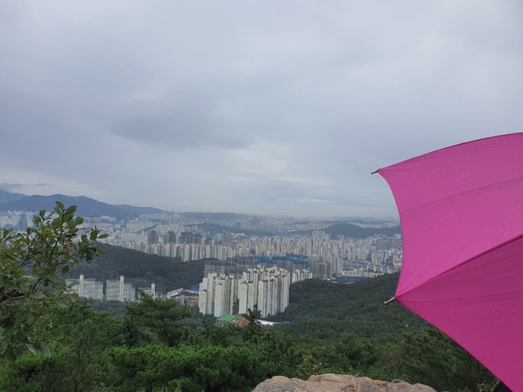 평범한 일상이 주는 행복~~  아이들과 함께한 토요트렉