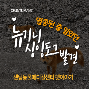  [동물뉴스]멸종된 줄 알았던 뉴기니 싱잉도그 발견