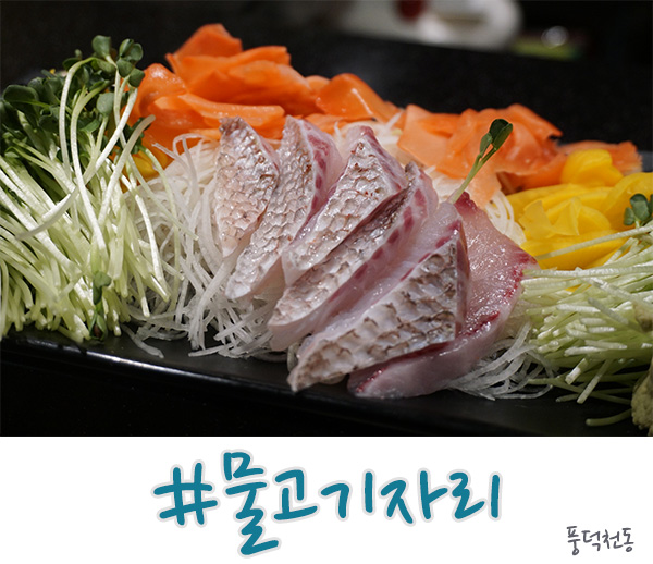  수지 물고기자리 모르는 사람 없죠?