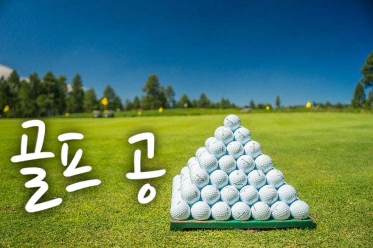  처음 골프장 가서 머리 올릴때 준비사항들~~(초보골퍼준비사항)