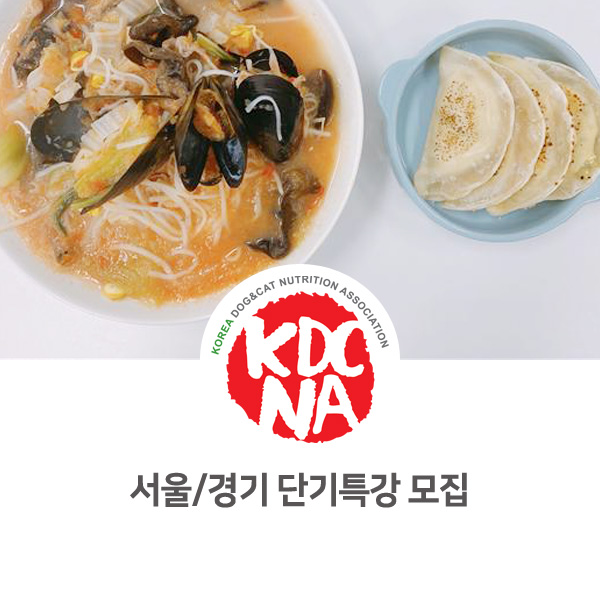  [서울/경기 펫푸드 자격증] 반려동물영양전문강사 3급 단기 특강 안내